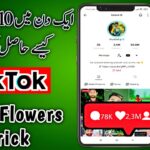 Free TikTok Followers & Likes Generator 2024